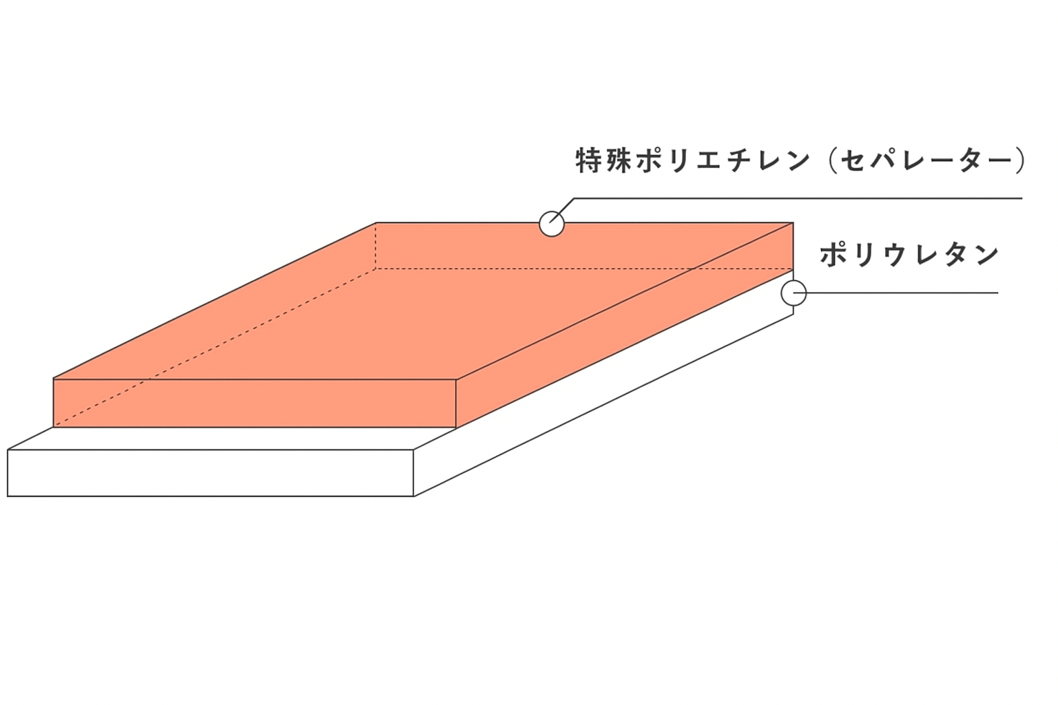 断面図　オレンジ.png