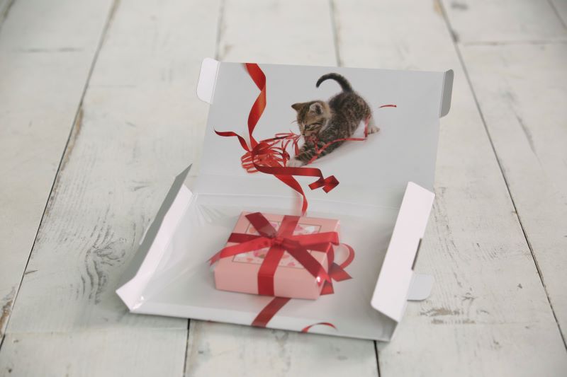 猫柄グレイスキューブピクチャーにプレゼント梱包画像