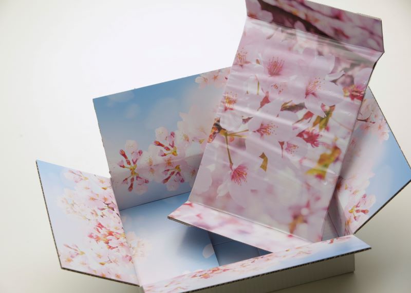 桜柄フィルム梱包材グレイスパットピクチャー画像